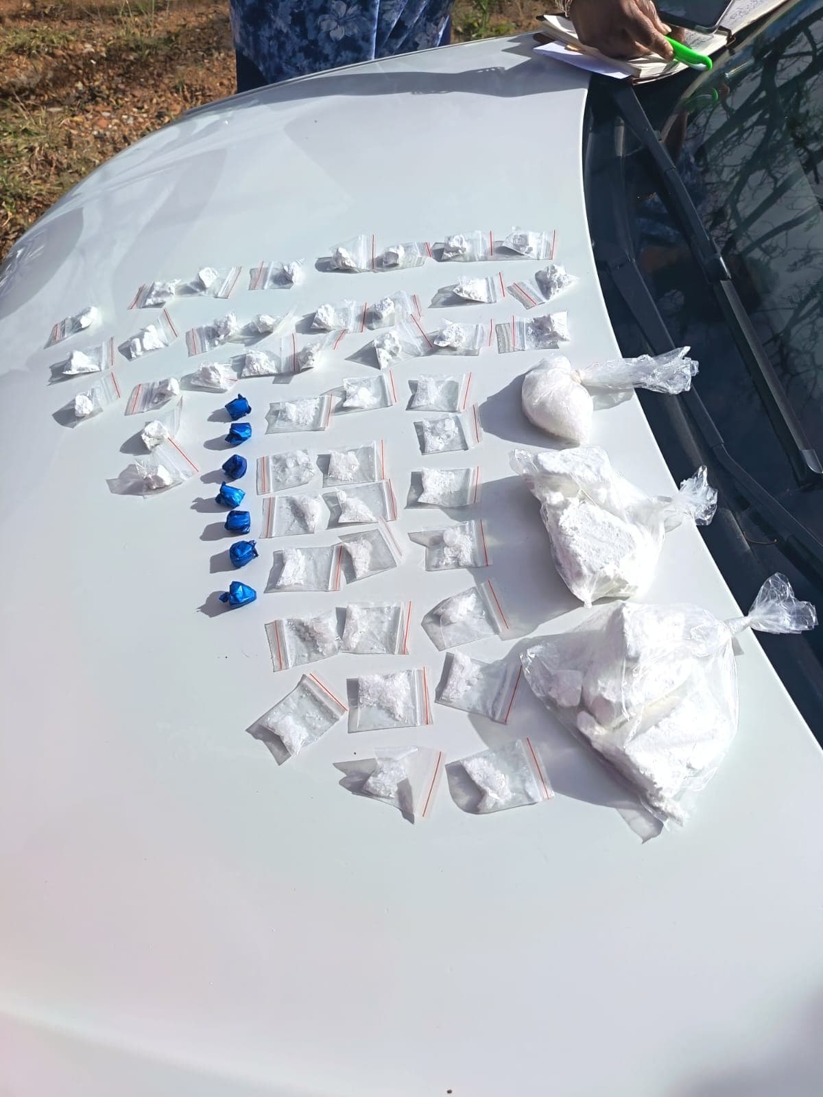 R50,000 of drugs seized as Polokwane man faces court