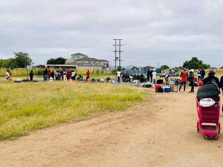 Young people from Siyandhani near Giyani have secured farm jobs at ZZ2, offering hope in an area struggling with high unemployment and a long-dormant airport project.