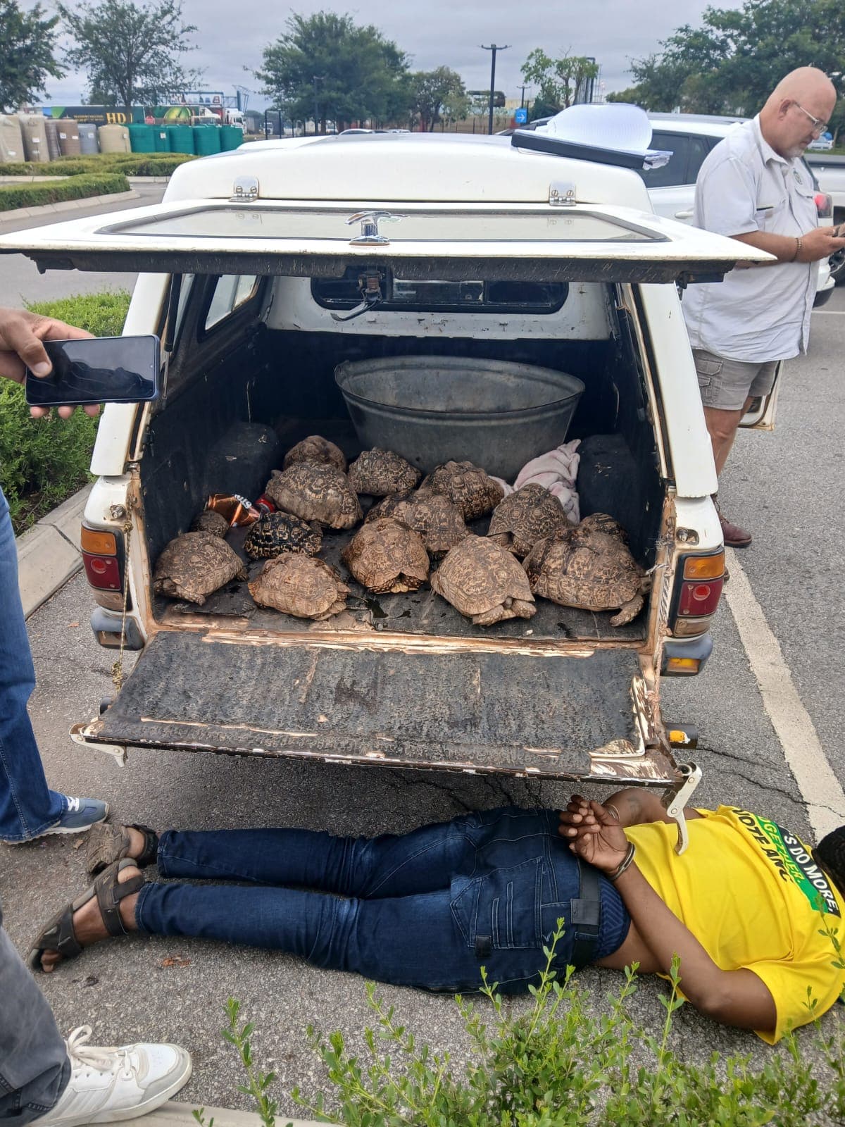 Three get bail after tortoises, skins found in Polokwane