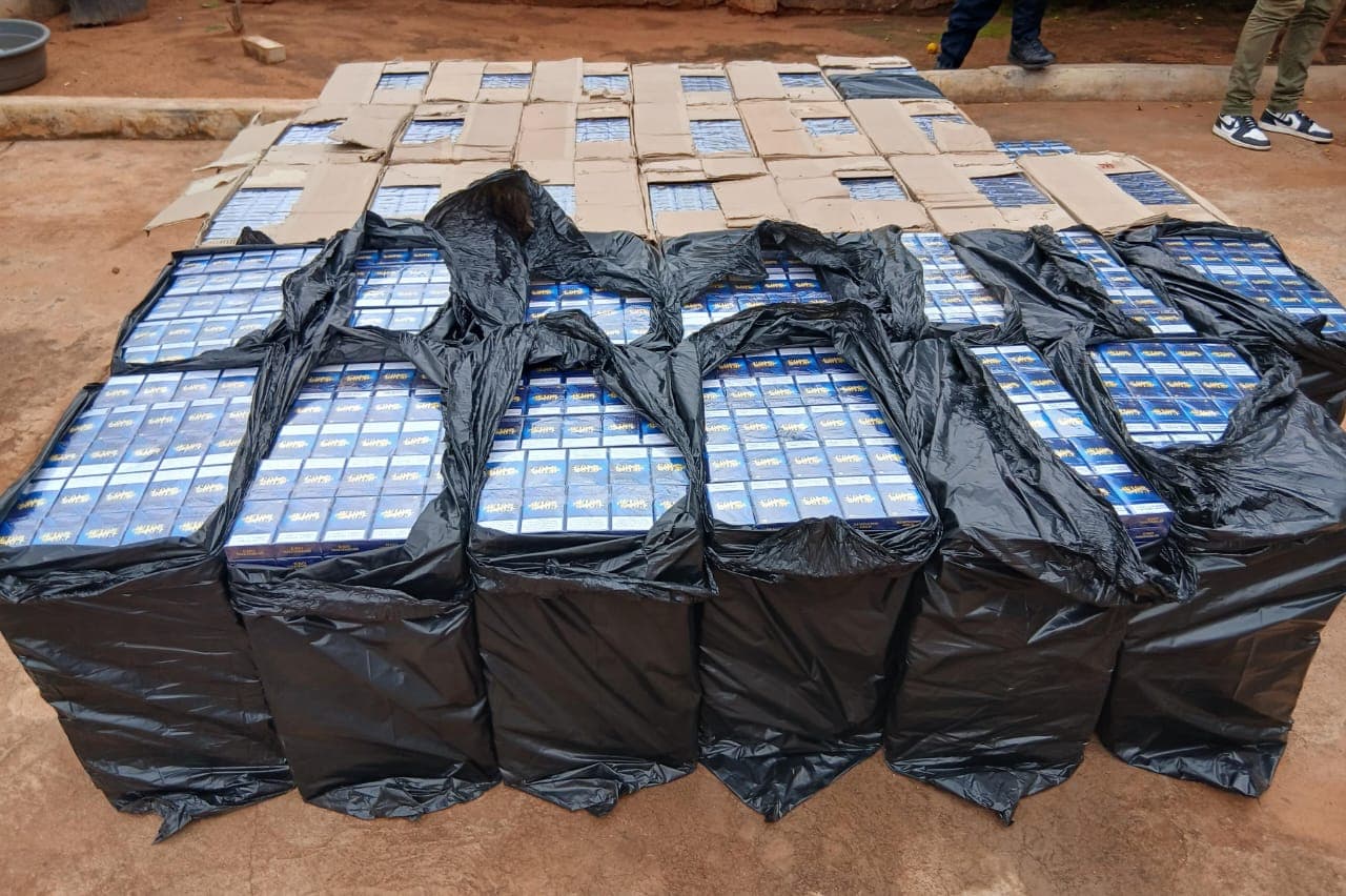 Illegal 743 arrests in a week: Immigration offences dominate Limpopo crime crackdown.