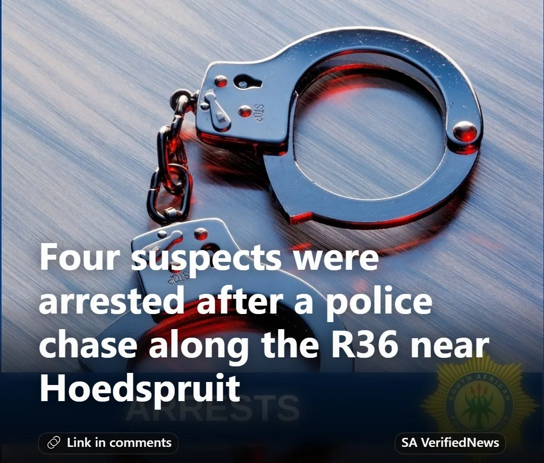 Four arrested in Limpopo with stolen car, firearm, wildlife carcass